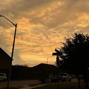 Meet your Posher, Frida